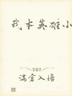 我本英雄小说