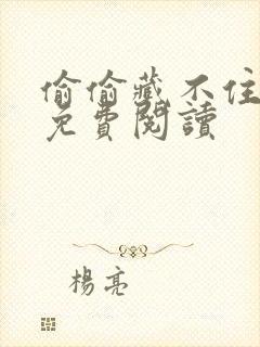 偷偷藏不住小说免费阅读