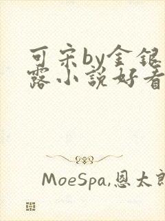 可宋by金银花露小说好看吗