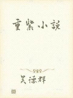 重紫小说