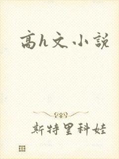 高h文小说