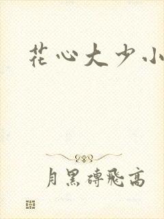 花心大少小说