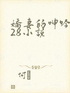 娇妻的呻吟1—28小说
