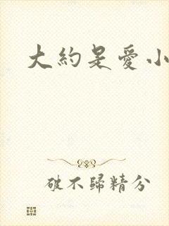 大约是爱小说