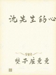 沈先生的心头宝