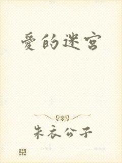 爱的迷宫