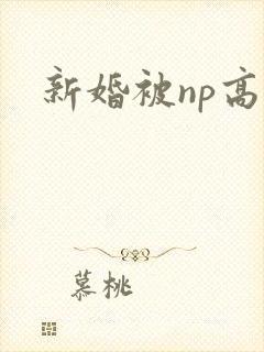 新婚被np高h