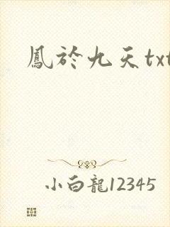 凤于九天txt