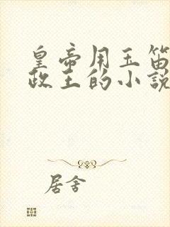 皇帝用玉笛整摄政王的小说