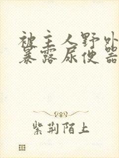 被主人野外调教暴露尿便器