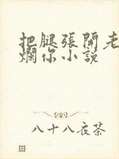 把腿张开老子臊烂你小说