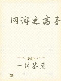 网游之高手寂寞