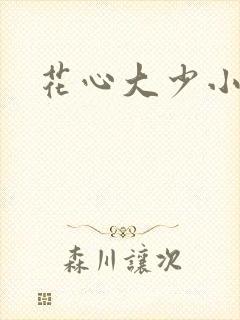 花心大少小说