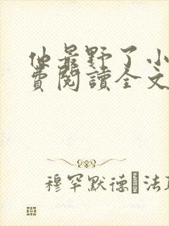 他最野了小说免费阅读全文