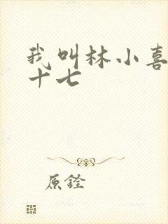 我叫林小喜今年十七