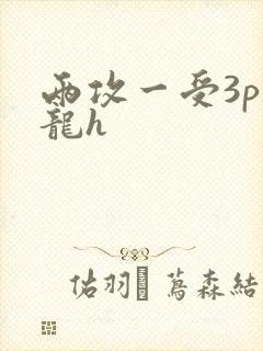 两攻一受3p双龙h