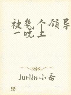 被几个领导玩弄一晚上