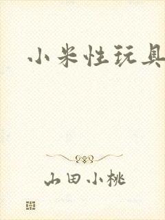 小米性玩具日记