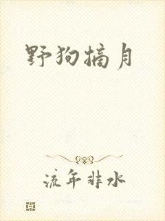 野狗摘月