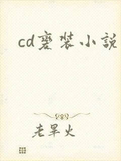 cd变装小说