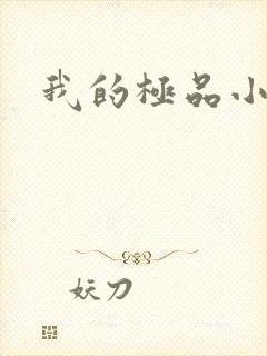 我的极品小姨