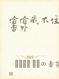 偷偷藏不住新婚番外