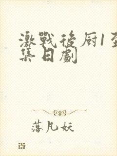 激战后厨1至5集日剧