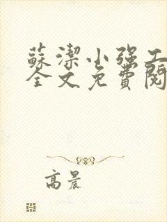 苏洁小强工地情全文免费阅读