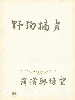 野狗摘月