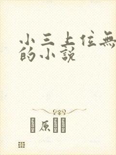 小三上位无三观的小说