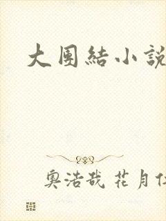 大团结小说全文