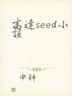 高达seed小说