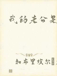 我的老公是冥王