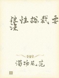 狼性总裁要够了没