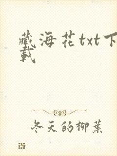 藏海花txt下载
