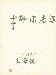 少帅你老婆又跑了