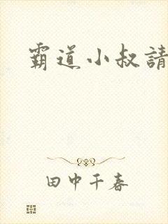 霸道小叔请轻撩