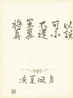 将军不可以魏云真慕迟小说笔趣阁