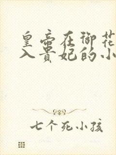 皇帝在御花园进入贵妃的小说