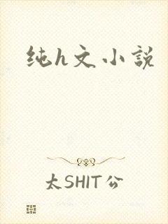 纯h文小说