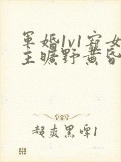 军婚1v1宠女主旷野黄昏