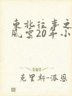 东北往事之黑道风云20年小说