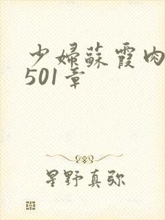 少妇苏霞肉欲第501章