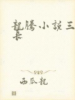 龙腾小说三宝局长