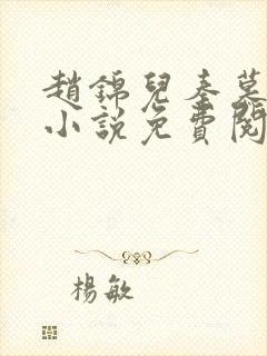 赵锦儿秦慕修的小说免费阅读全文