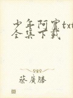 少年阿宾txt全集下载
