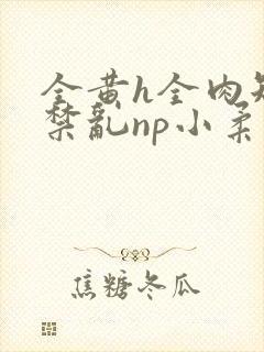 全黄h全肉短篇禁乱np小柔