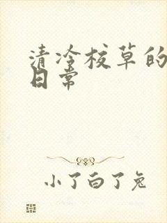 清冷校草的抹布日常