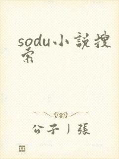 sodu小说搜索