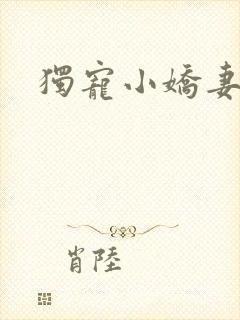独宠小娇妻